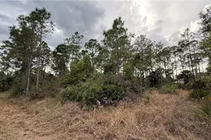 1103 Magnolia Ave, Lehigh Acres, FL 33972 - Photo 3