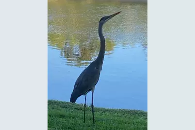 9241 Spring Run Blvd #2206, Estero, FL 34135 - Photo 13