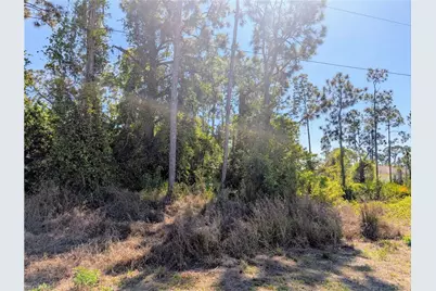 513 Beach Ave S, Lehigh Acres, FL 33974 - Photo 3