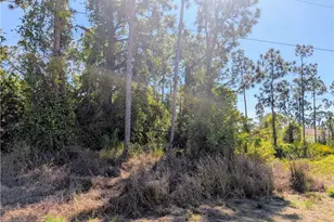 513 Beach Ave S, Lehigh Acres, FL 33974 - Photo 3