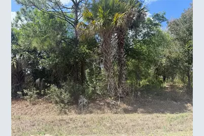 5905 Sally Ave N, Lehigh Acres, FL 33971 - Photo 1