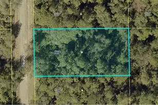 2004 Wells Ave, Alva, FL 33920 - Photo 1