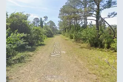 429 Nancy Rd NW, Lake Placid, FL 33852 - Photo 1