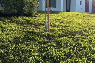 2605 SW 25th Terrace, Cape Coral, FL 33914 - Photo 5