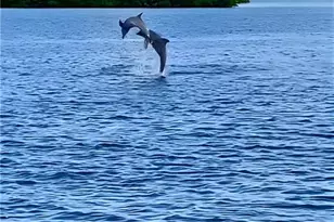 5640 Williams Dr, Fort Myers Beach, FL 33931 - Photo 47