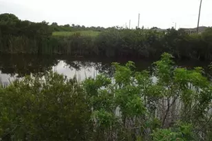 1317 NW 13th St, Cape Coral, FL 33993 - Photo 3