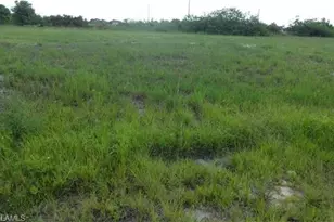 1317 NW 13th St, Cape Coral, FL 33993 - Photo 11