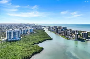 295 Grande Way, Naples, FL 34110 - Photo 43