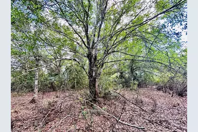 19850 Burgundy Farms Rd, Estero, FL 33928 - Photo 7