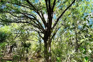 19850 Burgundy Farms Rd, Estero, FL 33928 - Photo 9