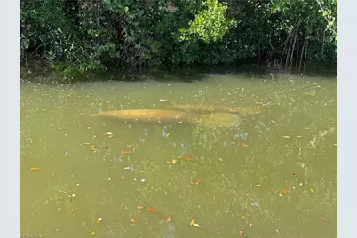 4754 Spring Creek Dr, Bonita Springs, FL 34134 - Photo 9