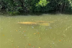 4754 Spring Creek Dr, Bonita Springs, FL 34134 - Photo 9