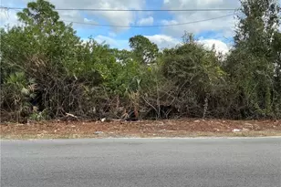 53 Hanna Ave S, Lehigh Acres, FL 33976 - Photo 1