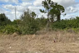 55 Hanna Ave S, Lehigh Acres, FL 33976 - Photo 1