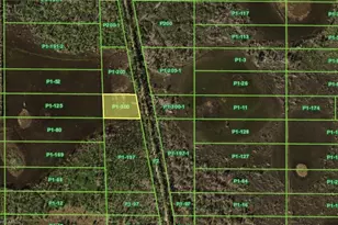 33072 Oil Well Rd, Punta Gorda, FL 33955 - Photo 1