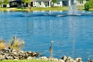 28318 Captiva Shell Loop, Bonita Springs, FL 34135 - Photo 23