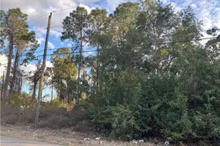 3811 4th St W, Lehigh Acres, FL 33971 - Photo 3