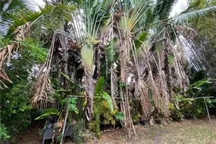 795 84th St, Miami Beach, FL 33141 - Photo 9