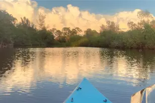 4021 Full Moon Ct, Naples, FL 34112 - Photo 3