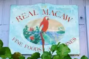 4084 New Moon Ct, Naples, FL 34112 - Photo 13