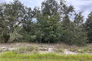 3102 51st St W, Lehigh Acres, FL 33971 - Photo 1