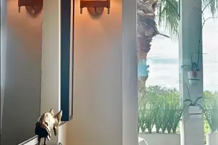 365 5th Ave S, Naples, FL 34102 - Photo 31