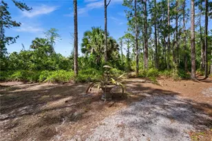 2345 31st Ave NE, Naples, FL 34120 - Photo 27