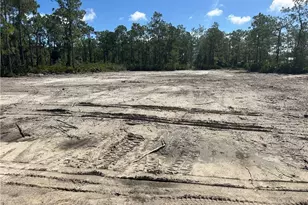 1504 Maple Ave N, Lehigh Acres, FL 33972 - Photo 1