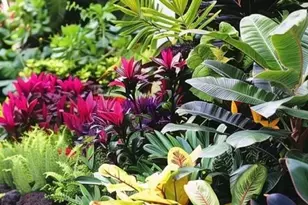 1220 Westlake Blvd, Naples, FL 34103 - Photo 21