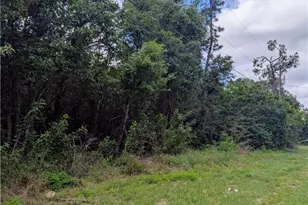 2805 53rd St SW, Lehigh Acres, FL 33976 - Photo 1