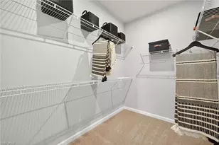 1541 Panoramic Vis Ave, Naples, FL 34114 - Photo 9