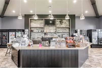 19194 Elston Way, Estero, FL 33928 - Photo 45