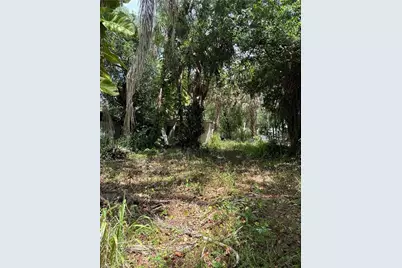 315 Buena Vista Blvd, Fort Myers, FL 33905 - Photo 1