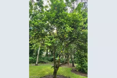 5930 Spanish Oaks Ln, Naples, FL 34119 - Photo 31