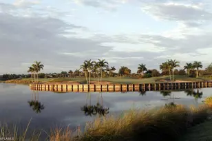 10023 Escambia Bay Ct, Naples, FL 34120 - Photo 35