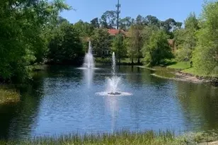 1180 Reserve Way, Naples, FL 34105 - Photo 9