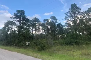 904 Acacia Ave, Lehigh Acres, FL 33972 - Photo 1