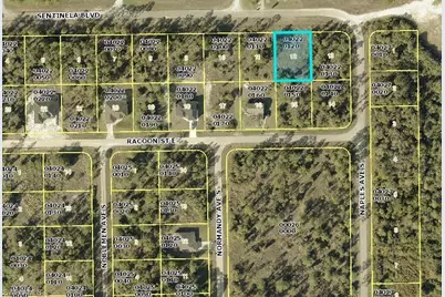 1244 Sentinela Blvd, Lehigh Acres, FL 33974 - Photo 3
