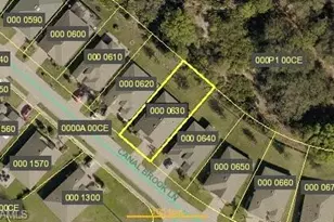 10548 Canal Brook Ln, Lehigh Acres, FL 33936 - Photo 47