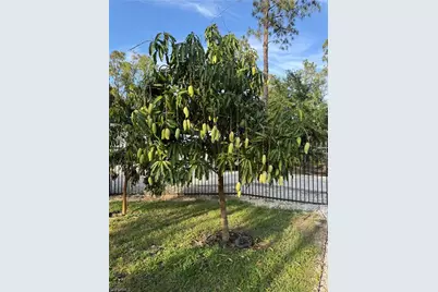 3159 6th Ave SE, Naples, FL 34117 - Photo 49
