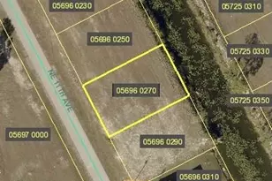 4217 NE 11th Ave, Cape Coral, FL 33909 - Photo 1