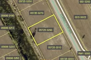 4222 Connection Ave, Cape Coral, FL 33909 - Photo 1