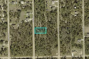 2308 Columbus Ave, Alva, FL 33920 - Photo 1