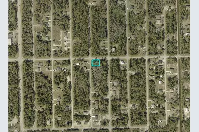 2024 Grayson Ave, Alva, FL 33920 - Photo 5