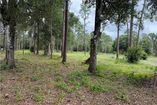 1750 Panama Ave, Clewiston, FL 33440 - Photo 3
