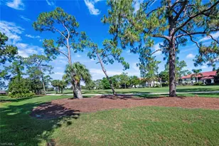 641 St Andrews Blvd, Naples, FL 34113 - Photo 33