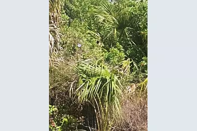 3774 2nd Ave NE, Naples, FL 34120 - Photo 3