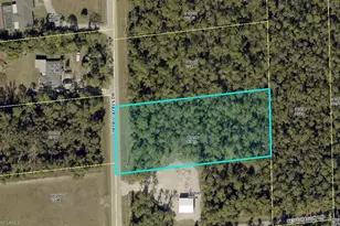 25821 Tropic Acres Dr, Bonita Springs, FL 34135 - Photo 1