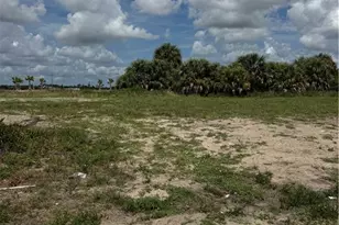 2624 NW 9th Ave, Cape Coral, FL 33993 - Photo 9