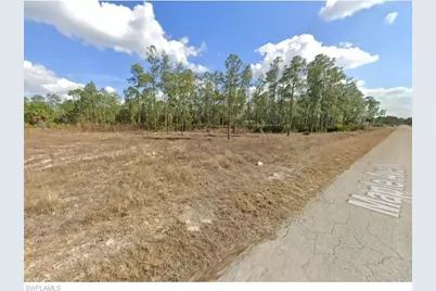 1308 Maple Ave N, Lehigh Acres, FL 33972 - Photo 3